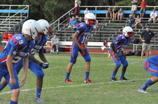 Enlarge photo 307