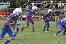 Enlarge photo 309