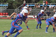 Enlarge photo 310