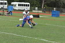 Enlarge photo 331