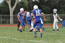 Enlarge photo 341