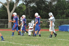 Enlarge photo 344