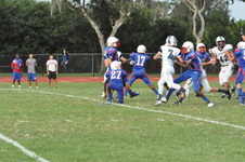 Enlarge photo 355