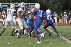 Enlarge photo 356