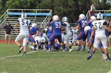 Enlarge photo 361