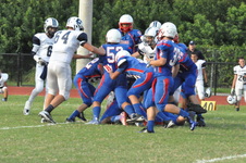 Enlarge photo 378