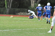 Enlarge photo 392