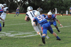 Enlarge photo 405