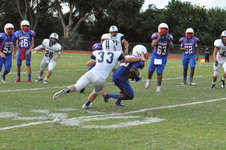 Enlarge photo 417