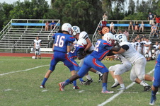 Enlarge photo 431