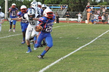 Enlarge photo 440