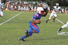 Enlarge photo 441