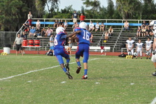 Enlarge photo 445