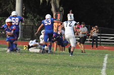 Enlarge photo 450