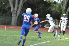 Enlarge photo 170