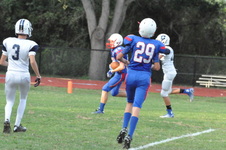 Enlarge photo 171