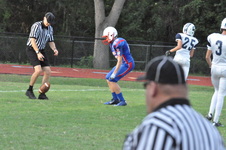 Enlarge photo 174
