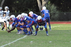 Enlarge photo 184