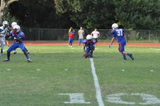 Enlarge photo 186