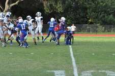 Enlarge photo 190