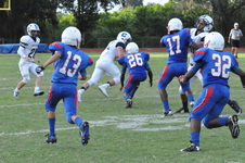 Enlarge photo 199