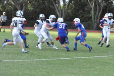 Enlarge photo 202