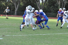 Enlarge photo 203