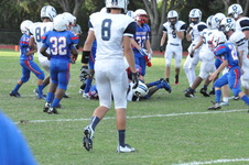 Enlarge photo 207