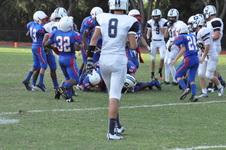Enlarge photo 208