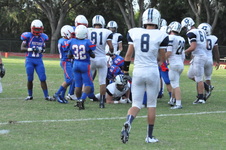 Enlarge photo 210