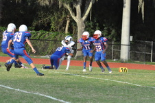 Enlarge photo 218