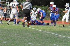 Enlarge photo 223