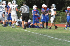 Enlarge photo 224