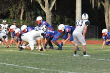 Enlarge photo 231