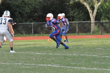 Enlarge photo 235