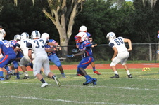 Enlarge photo 237