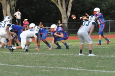 Enlarge photo 238