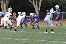 Enlarge photo 239