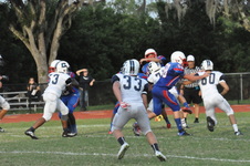 Enlarge photo 241