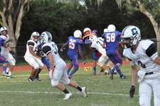 Enlarge photo 242