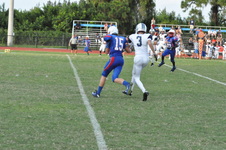 Enlarge photo 244