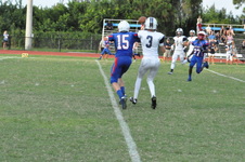 Enlarge photo 245