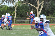 Enlarge photo 257