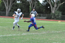 Enlarge photo 258