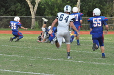Enlarge photo 460