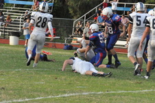 Enlarge photo 485