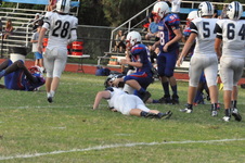 Enlarge photo 486