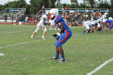Enlarge photo 505
