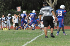 Enlarge photo 509