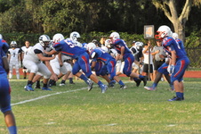 Enlarge photo 524